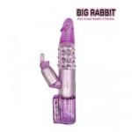 rotador-big-rabbit-gran-conejo2